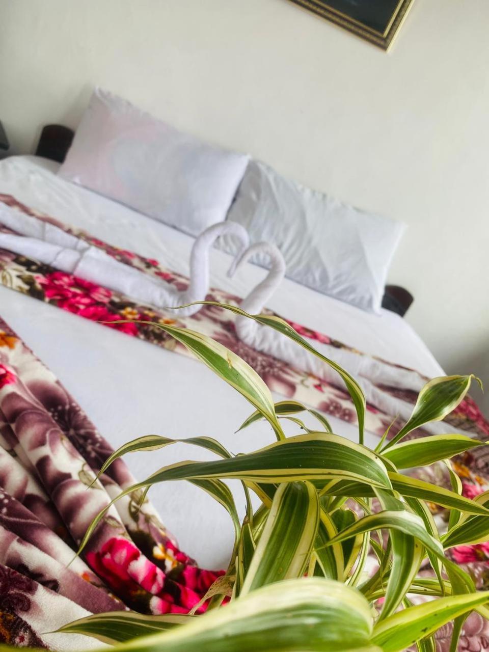 Farah Guest Inn هابيوتيل المظهر الخارجي الصورة